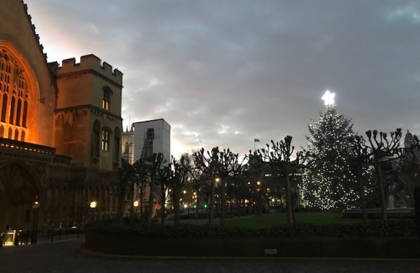 Parliament Christmas Tree