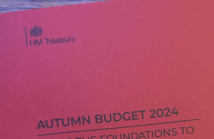 The Budget document