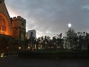 Parliament Christmas Tree